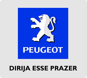 Adesivos Promocionais - FOTO 1