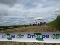 Fita para Isolamento de Área Personalizada - FOTO 2 Fita para Isolamento de Área Personalizada - FOTO 2